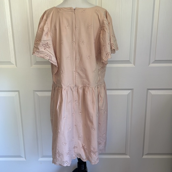 NWT Ann Taylor Loft Eyelet Scallop Flutter Sleeve Pink Blush Dress Womens Sz XXL - Picture 6 of 16